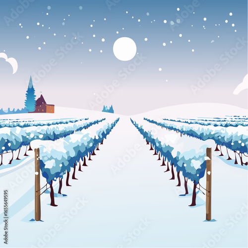 winter in the vineyard with snow blankets dormant vines and ambient light