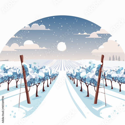 winter in the vineyard with snow blankets dormant vines and ambient light