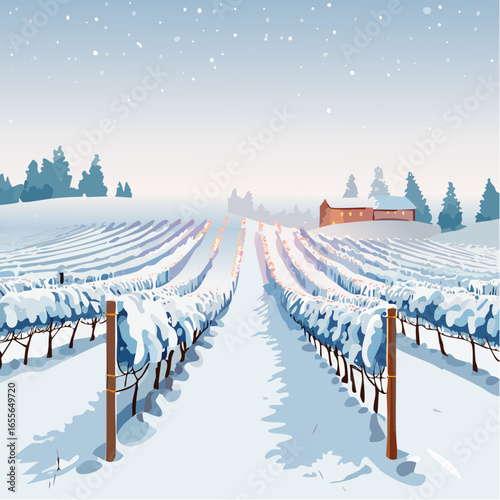 winter in the vineyard with snow blankets dormant vines and ambient light