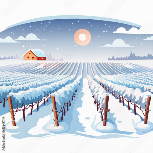 winter in the vineyard with snow blankets dormant vines and ambient light