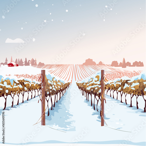 winter in the vineyard with snow blankets dormant vines and ambient light