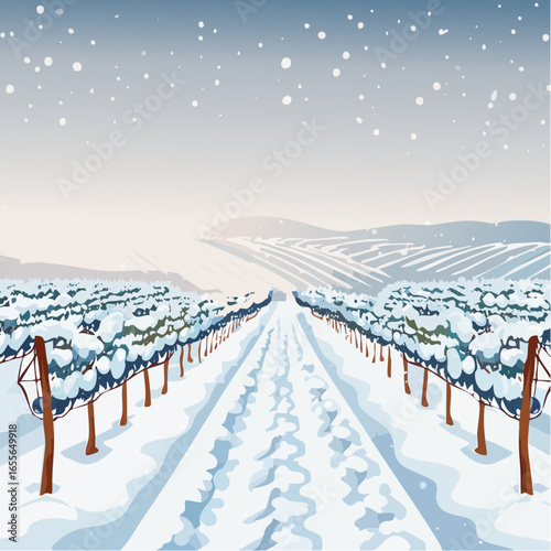 winter in the vineyard with snow blankets dormant vines and ambient light