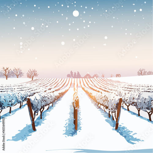 winter in the vineyard with snow blankets dormant vines and ambient light