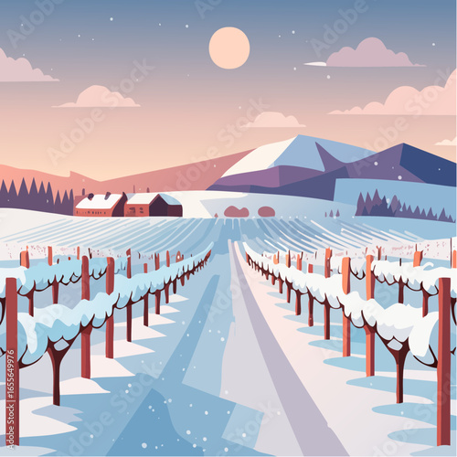 winter in the vineyard with snow blankets dormant vines and ambient light