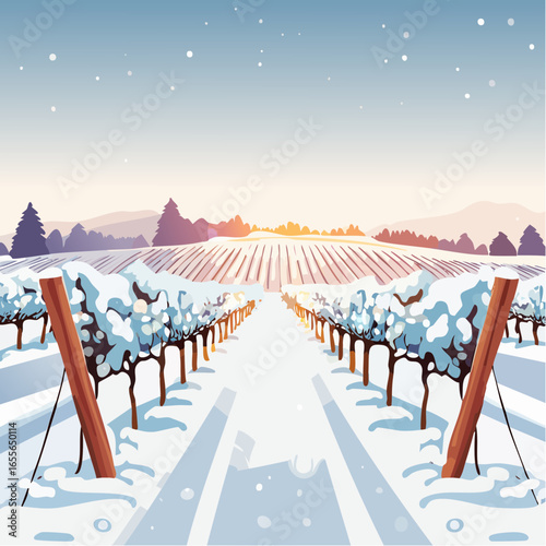 winter in the vineyard with snow blankets dormant vines and ambient light