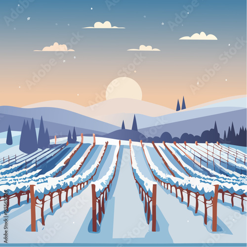 winter in the vineyard with snow blankets dormant vines and ambient light