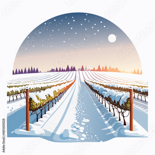 winter in the vineyard with snow blankets dormant vines and ambient light