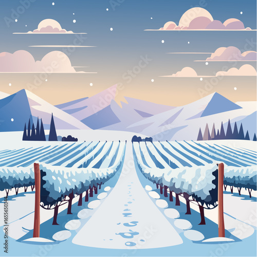 winter in the vineyard with snow blankets dormant vines and ambient light
