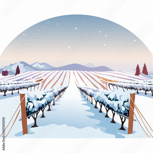 winter in the vineyard with snow blankets dormant vines and ambient light