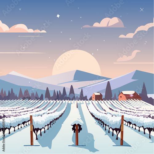 winter in the vineyard with snow blankets dormant vines and ambient light