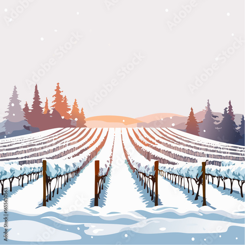 winter in the vineyard with snow blankets dormant vines and ambient light