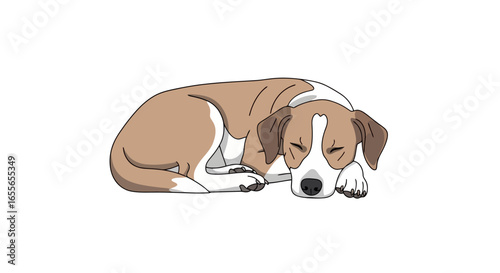 Cartoon Illustration of a Sleeping Dog with Brown and White Markings, Ideal for Children's Books and Pet-Related Educational Materials.