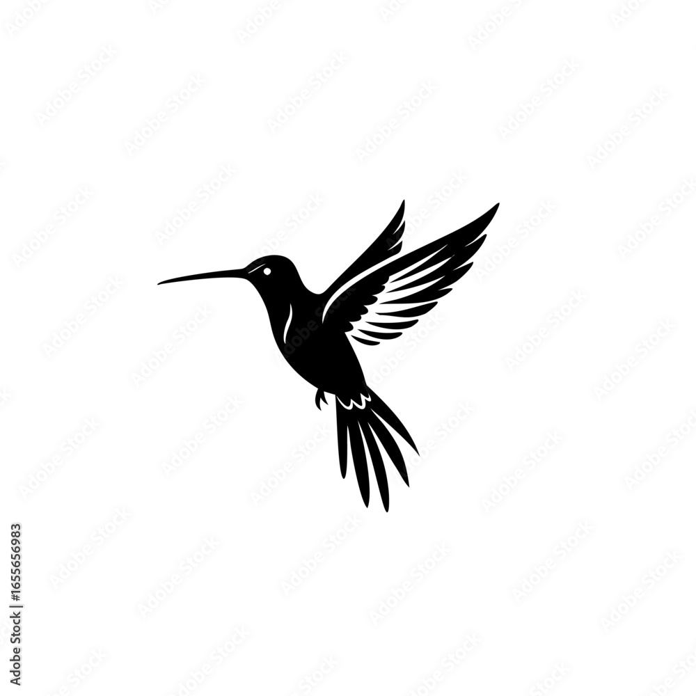 Obraz premium hummingbird in flight