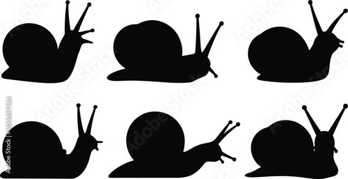 Snail silhouette collection, black icons, crawling snail, shell shapes, nature illustration, isolated vector, animal graphic, educational design, biology image.
