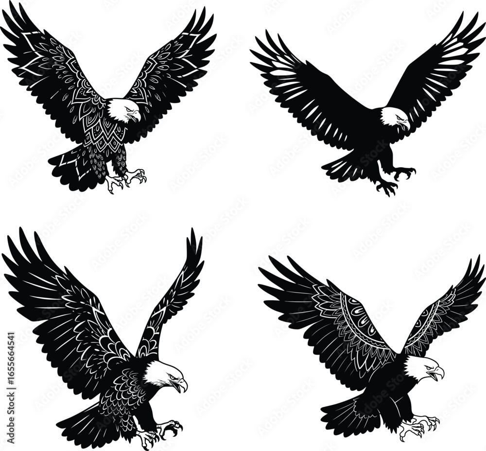 Obraz premium eagle in flight with wide wingspan. isolated vector silhouette image