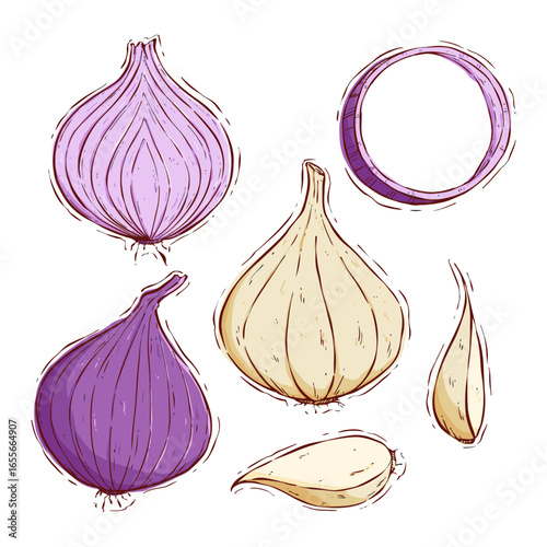 set of hand drawn onion and garlic vector illustration