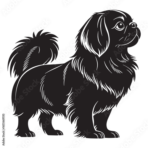 Foto black pekingese Silhouette Vector, High Quality Illustration on White Background