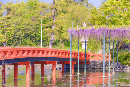[愛知県]津島市天王川公園の藤棚