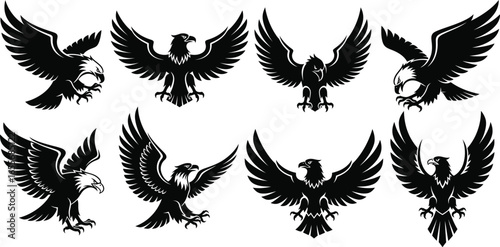 Eagle vector set black and white illustration bird of prey art