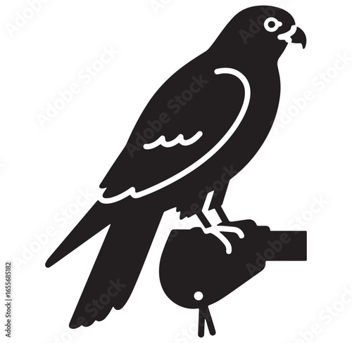 Black and white silhouette illustration of a falcon perching on a gloved hand.