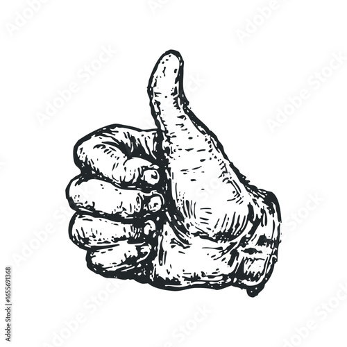 Hand gesture thumbs up sketched in black ink on white background