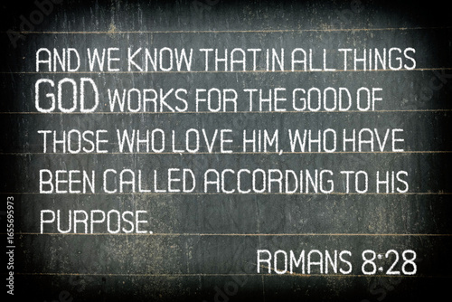 The Bible verse Romans 8:28. The text reads: 