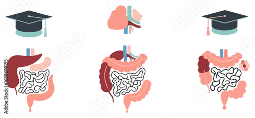 Illustrations depicting the human digestive system, brain, and graduation cap, representing medical education and bowel health.