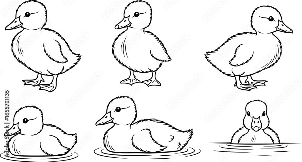 Fototapeta premium Duckling line art drawing vector illustration cute animals