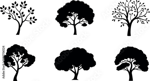 Collection of six stylized black silhouettes of different types of trees