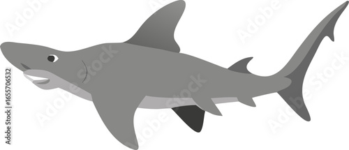 Hammerhead shark cruising with wide head shape isolated on white background isolated on transparent background