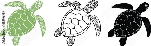 Sea turtle illustration vector graphic design template art
