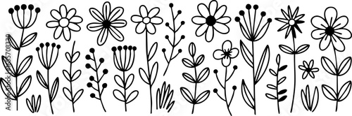 Wallpaper Mural Hand Drawn Floral Doodle Border with Flowers Leaves and Berries in Black and White Perfect for Invitations Cards and Botanical Designs Torontodigital.ca