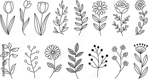 Collection of hand drawn botanical illustrations featuring various floral and leafy stem designs