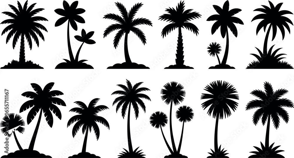 Fototapeta premium Collection of silhouetted tropical palm trees in various shapes and sizes against a white background