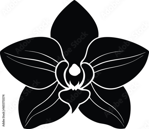 Elegant Orchid Flower Silhouette Vector Illustration