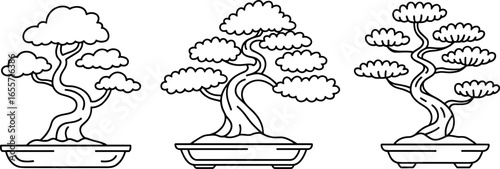 Three distinct artistic line drawings of meticulously shaped bonsai trees in simple pots