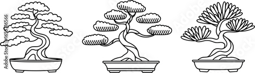Three distinct styles of artistic bonsai trees presented in simple black and white line drawings