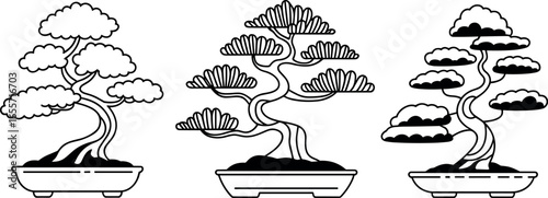 Three stylized black and white illustrations of traditional bonsai trees in pots