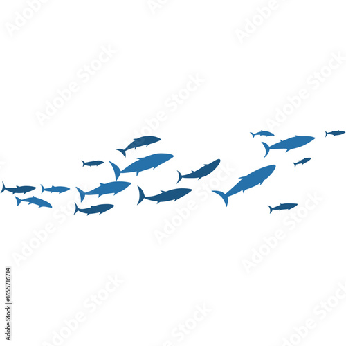 A dynamic vector illustration of a school of blue fish swimming in unison. Marine life concept featuring a shoal of fish silhouettes on an isolated white background.