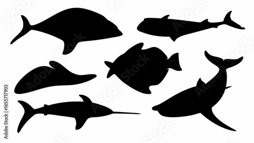 Silhouette illustration showcasing various fish species including shark and swordfish on white background