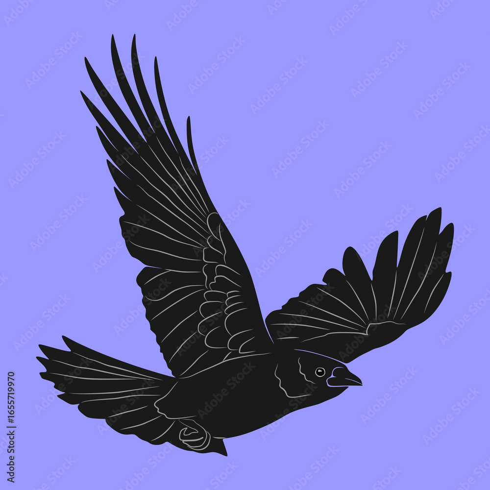 Obraz premium vector illustration of a black crow in flight with its wings spread wide. The bird is facing slightly downward to the right, with detailed feathers drawn on its wings and tail
