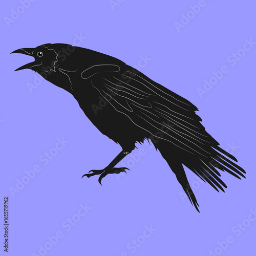 vector illustration of a black raven with its beak open, as if cawing or calling The bird is standing on the ground, facing to the left drawn in a silhouette style with detailed wing and feather lines
