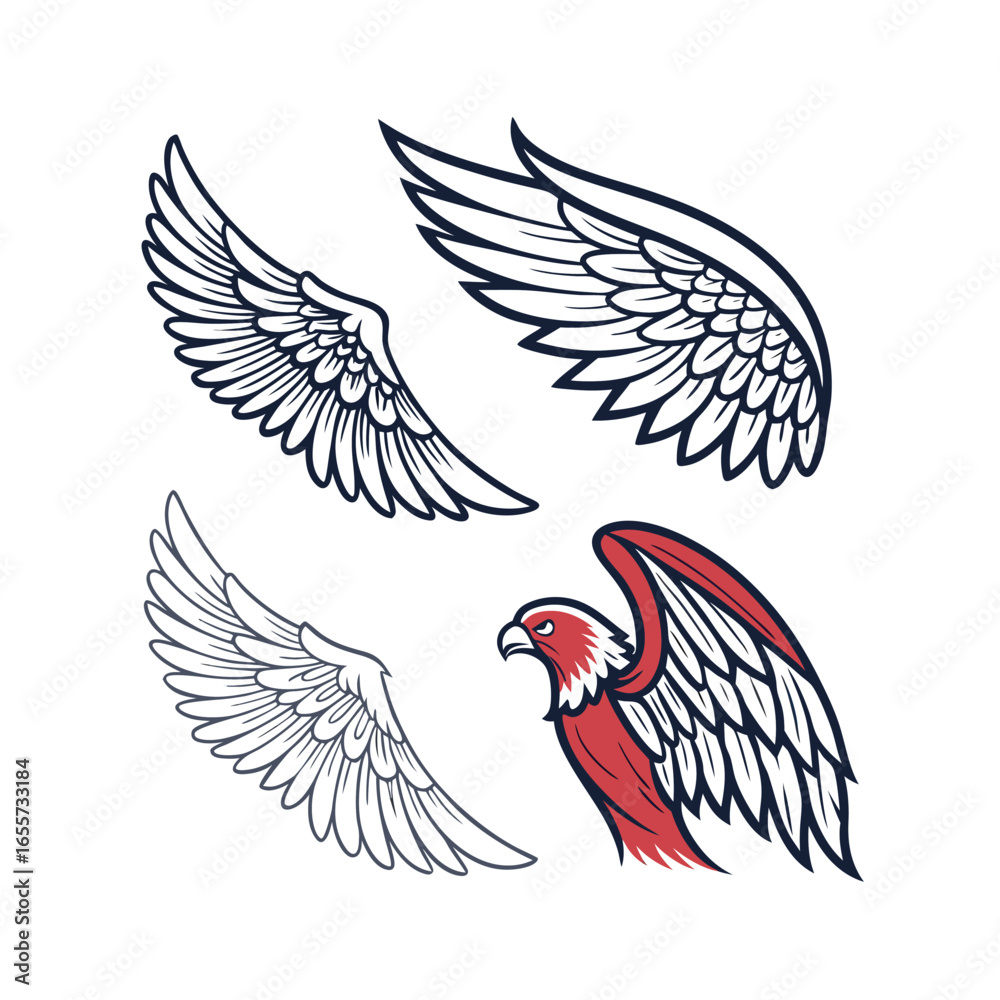 Obraz premium Collection of Wing Illustrations and Eagle Design wings