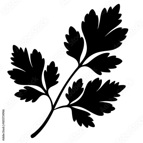 Parsley Herb Leaf Silhouette