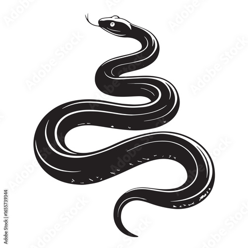 black python Silhouette Vector, High Quality Illustration on White Background