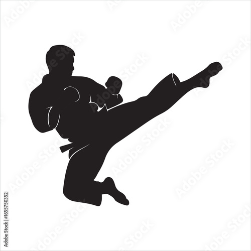 Dynamic Flying Kick Silhouette