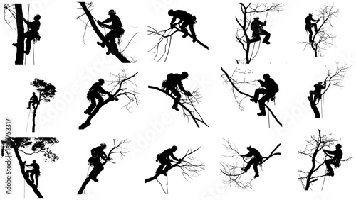 Arborist and Tree Climber Silhouettes Vector Set

