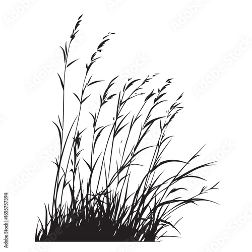 silhouette cattails reeds wild grass river bank swamp coastal plants 
