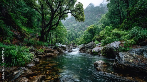 Serene stream flows through lush, rocky valley