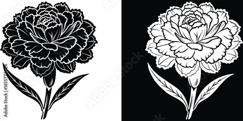 Elegant carnation flower illustrations in black and white for sophisticated designs and timeless appeal, perfect for backgrounds and invitations